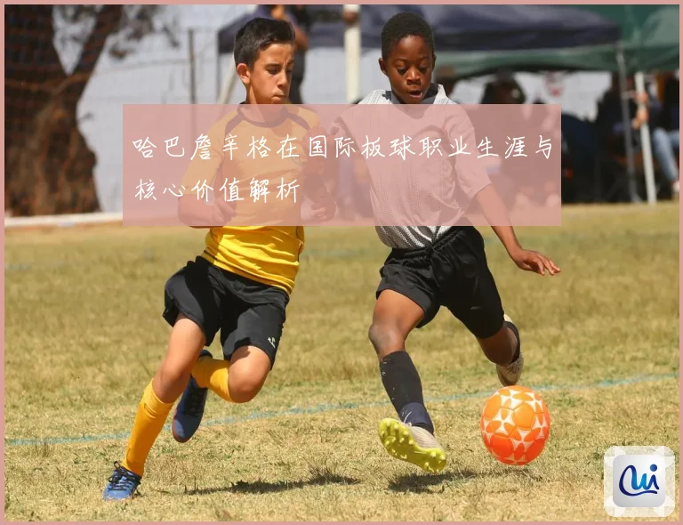 哈巴詹辛格在国际板球职业生涯与核心价值解析