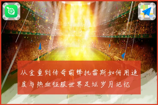 从金童到传奇前锋托雷斯如何用速度与热血征服世界足坛岁月记忆