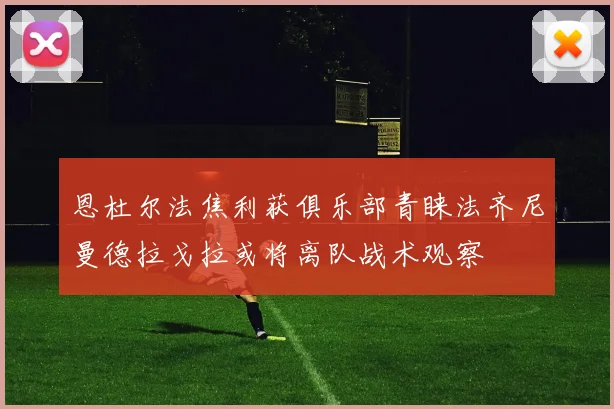 恩杜尔法焦利获俱乐部青睐法齐尼曼德拉戈拉或将离队战术观察
