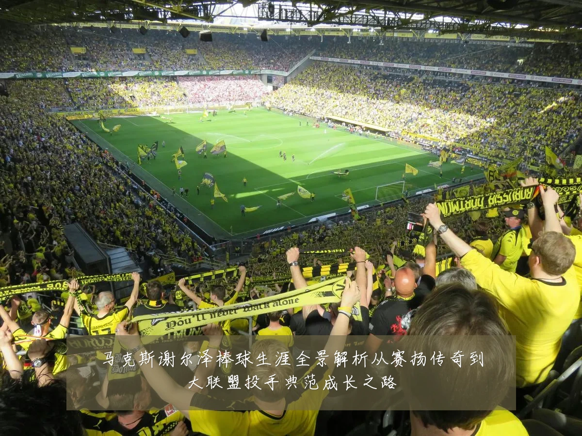 马克斯谢尔泽棒球生涯全景解析从赛扬传奇到大联盟投手典范成长之路