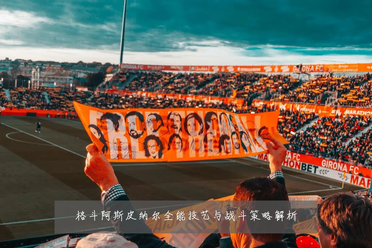 格斗阿斯皮纳尔全能技艺与战斗策略解析